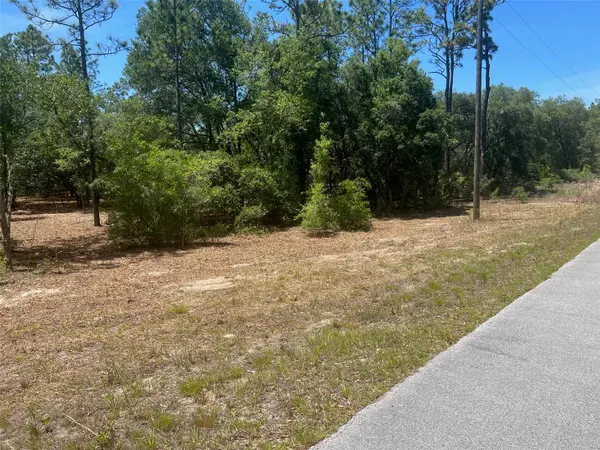 Dunnellon, FL 34431,00 SW WOOD RD