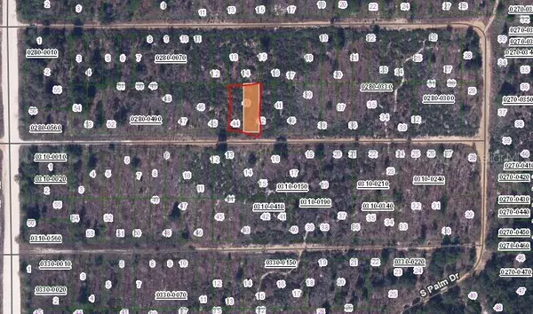 Interlachen, FL 32148,224 BIRCH ST