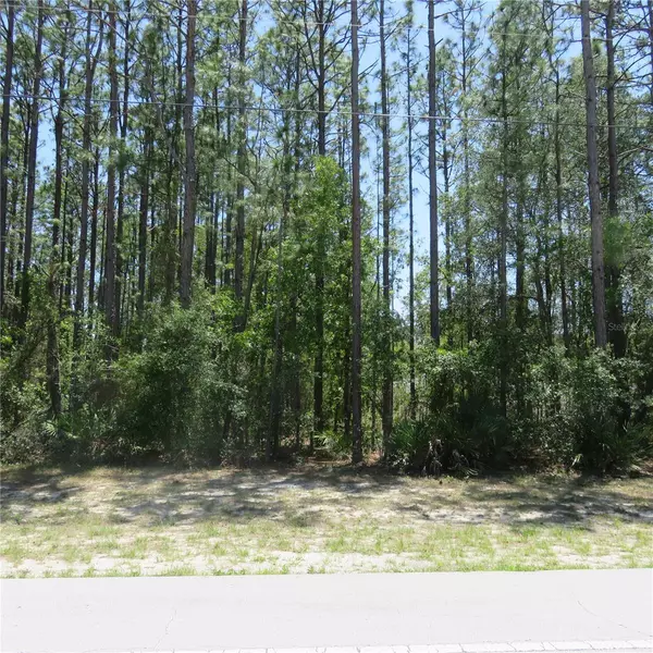 Ocala, FL 34473,00 SW MARION OAKS TRAIL