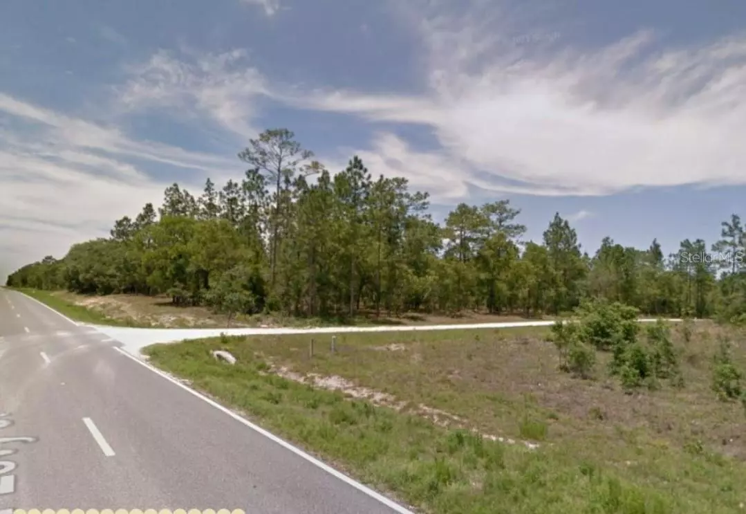 Williston, FL 32696,E LEVY ST