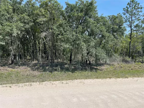 Morriston, FL 32668,Lot 3 SE 53 LN