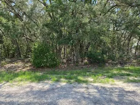 Citrus Springs, FL 34433,6929 N DEER PT