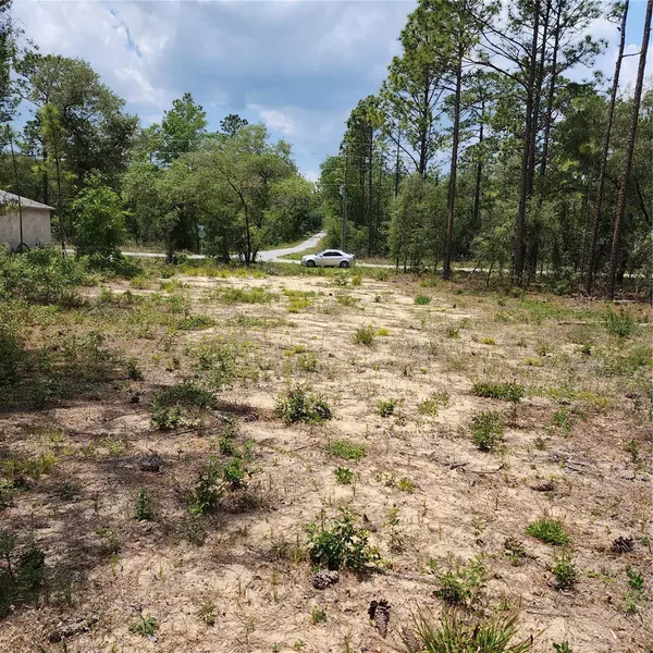 lot 13 NW BUENA VISTA RD, Dunnellon, FL 34431