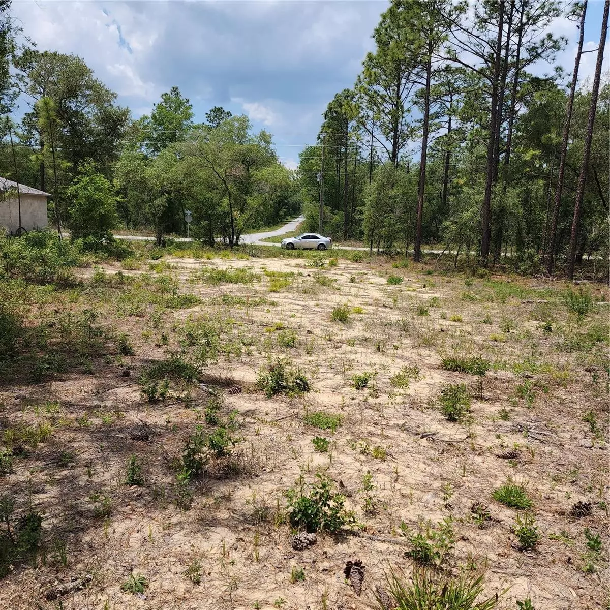 Dunnellon, FL 34431,lot 13 NW BUENA VISTA RD