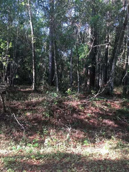 Lot 9 SE 100 PL, Ocklawaha, FL 32179