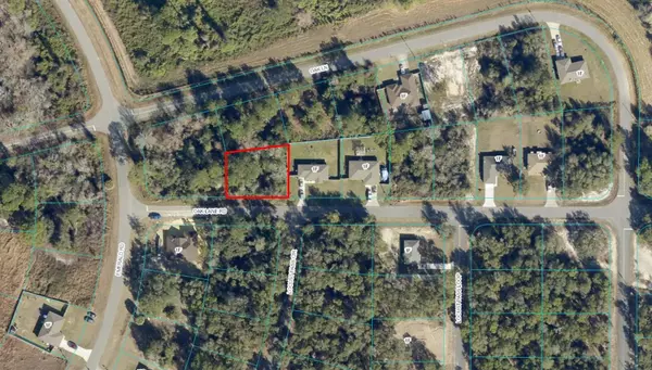 Ocala, FL 34472,0 OAK LN