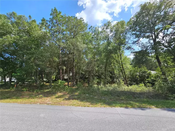 Dunnellon, FL 34432,TBD SW 93RD PL