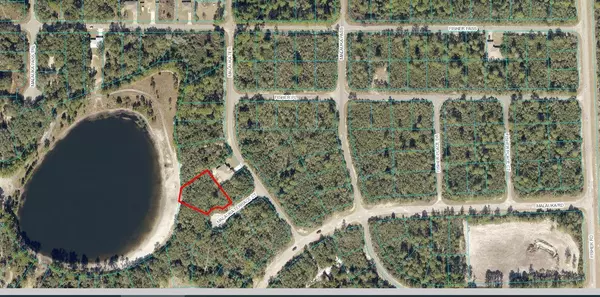 00 MALAUKA TERRACE CT, Ocklawaha, FL 32179