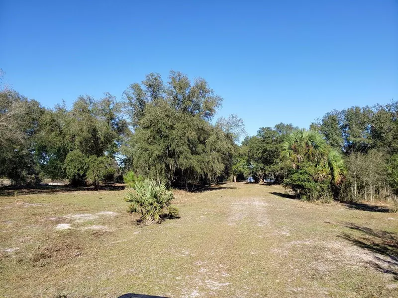 13ac NE HWY 315, Fort Mc Coy, FL 32134