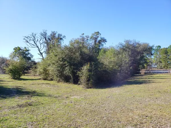 Fort Mc Coy, FL 32134,13ac NE HWY 315