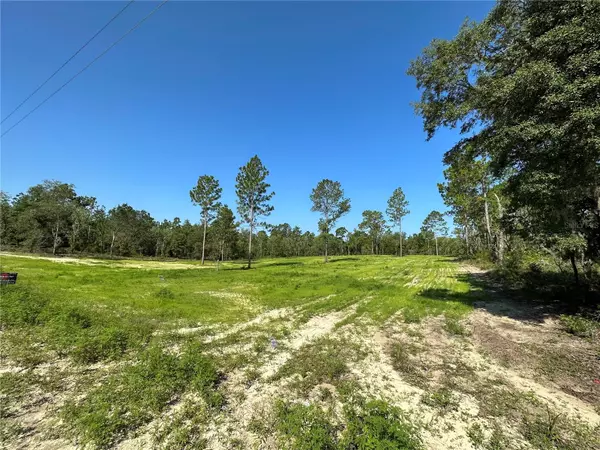 Williston, FL 32696,TBD NE 152ND CT