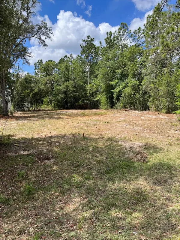 Summerfield, FL 34491,00 SE 161ST PL