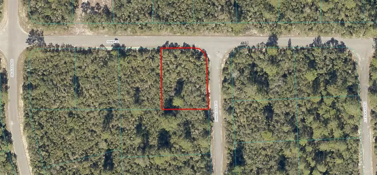 Ocklawaha, FL 32179,0 FISHER PL