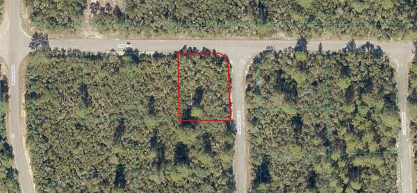 0 FISHER PL, Ocklawaha, FL 32179