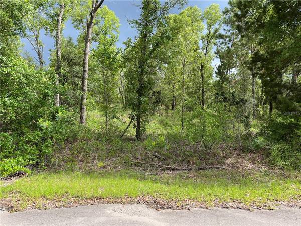 FISHER LANE WAY, Ocklawaha, FL 32179