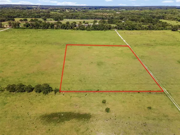 TBD NW 133RD LN, Reddick, FL 32686