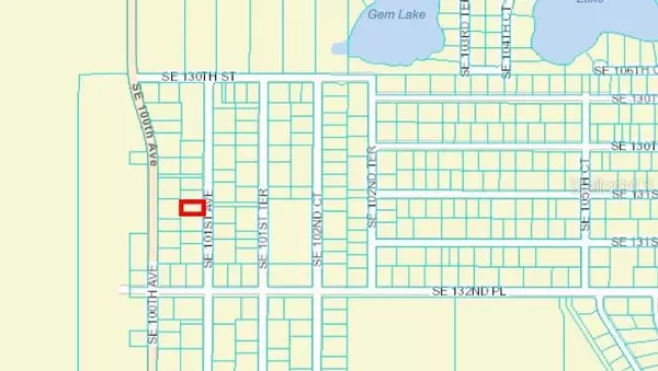 Belleview, FL 34420,TBD SE 101ST AVE