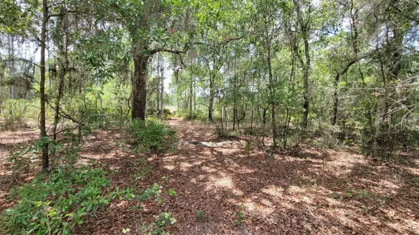 Bronson, FL 32621,00 NE 122 PL