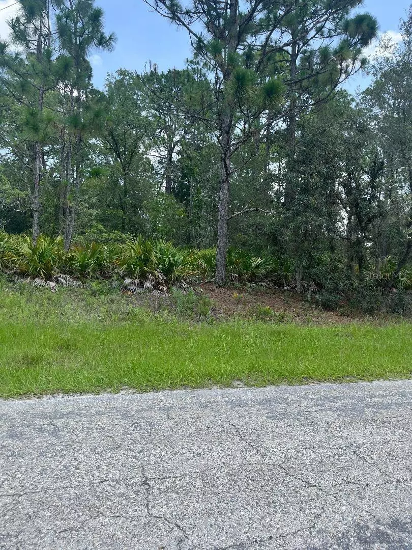 Citrus Springs, FL 34434,6546 N FOXDALE DR