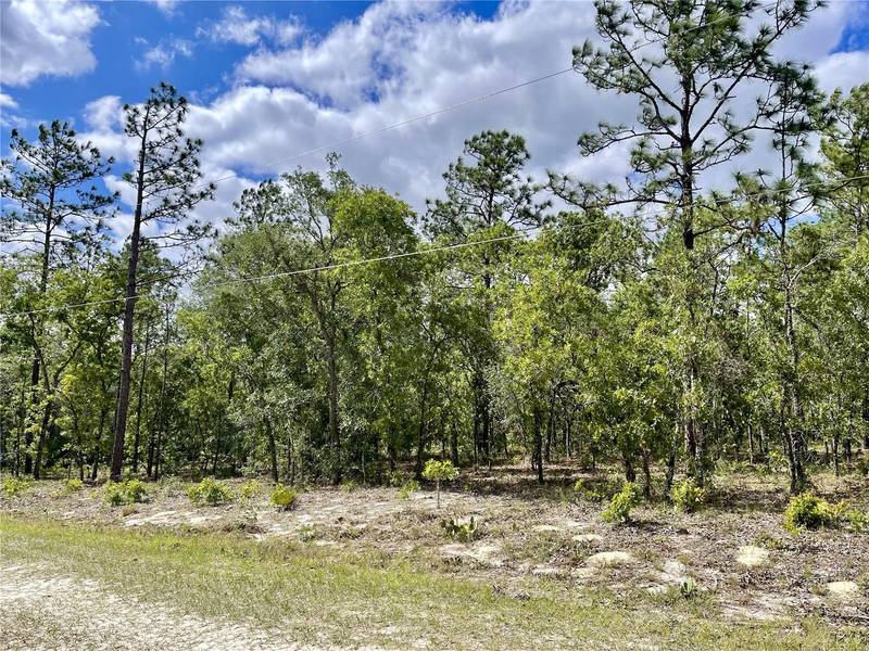 00 SW 88TH ST, Dunnellon, FL 34432