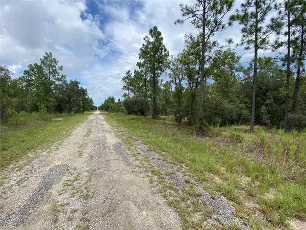 Dunnellon, FL 34431,0 SE 134TH CT