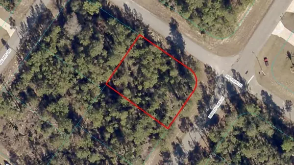 TBD Lot 1 MARION OAKS LN, Ocala, FL 34473