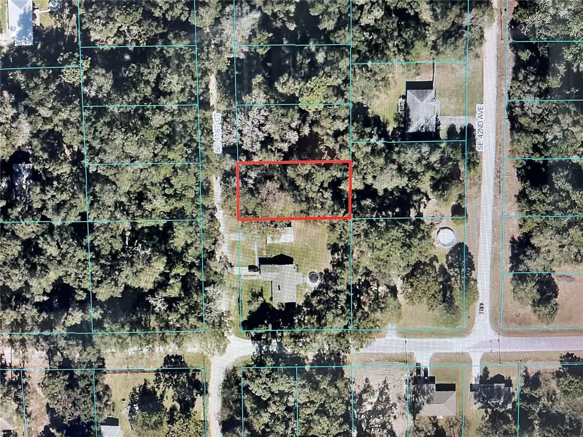 Belleview, FL 34420,19 SE 41 CT