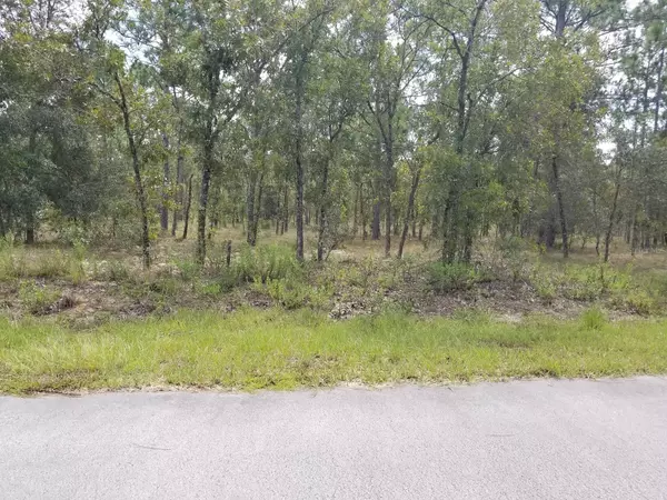 Dunnellon, FL 34431,TBD NW SMALLWOOD RD