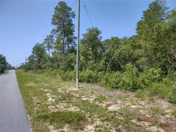 Ocala, FL 34473,Lot 19 SW 18TH AVE