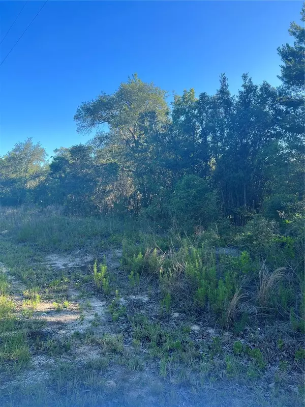 Dunnellon, FL 34431,Lot 6 SW JONQUIL CT