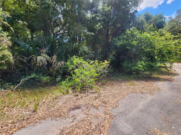 Crystal River, FL 34428,13562 W TREFOIL CT