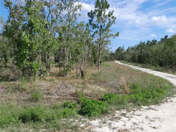 Williston, FL 32696,00 NE 13TH LN