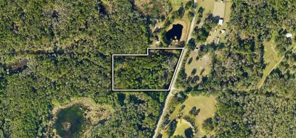 TBD W HIGHWAY 329, Micanopy, FL 32667