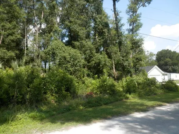 Summerfield, FL 34491,0 SE 33RD CT