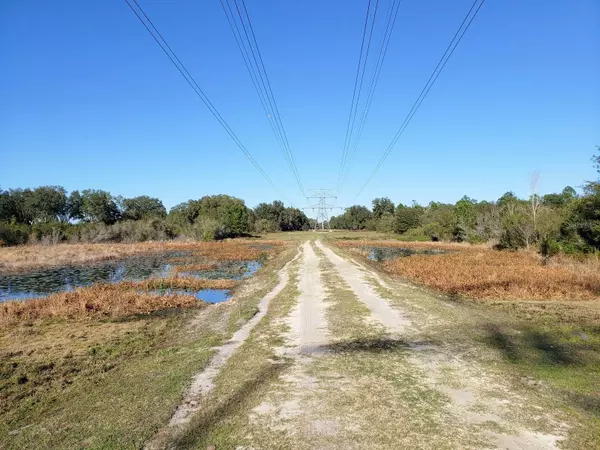 Fort Mc Coy, FL 32134,62ac NE 130TH CT RD