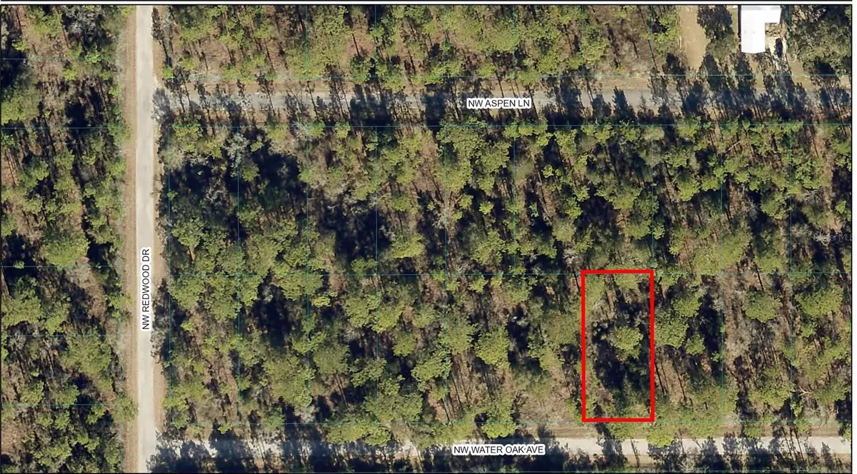 Dunnellon, FL 34431,TBD NW WATER OAK AVE