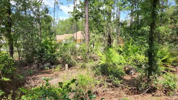 Ocala, FL 34481,Lot 2 SW 61ST PLACE RD