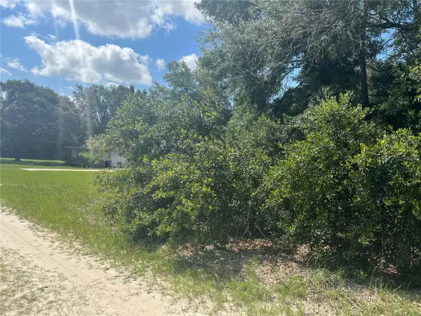 Dunnellon, FL 34432,TBD SW 103RD PL