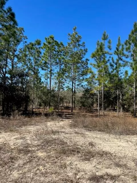 Dunnellon, FL 34431,TBD EVERGREEN CT