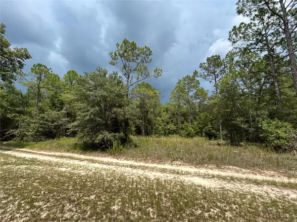 Morriston, FL 32668,TBD SE 163RD CT