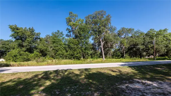 Silver Springs, FL 34488,TBD SE 176TH AVE #25-15S-24E