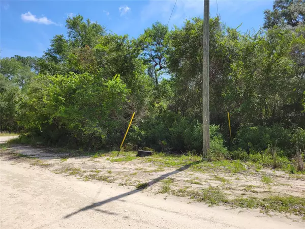 Salt Springs, FL 32134,Lot 12 NE 242 AVE