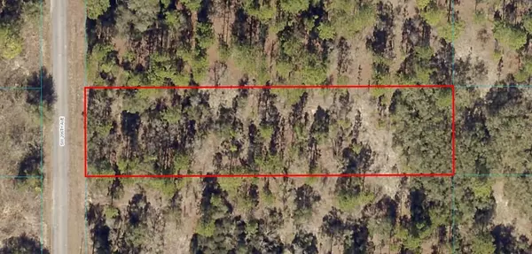 TBD Lot 7 SW 206TH AVE, Dunnellon, FL 34431