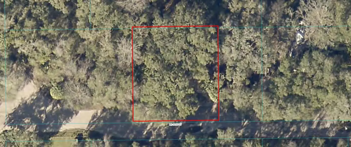 Lot 4 NE 161ST STREET, Citra, FL 32113