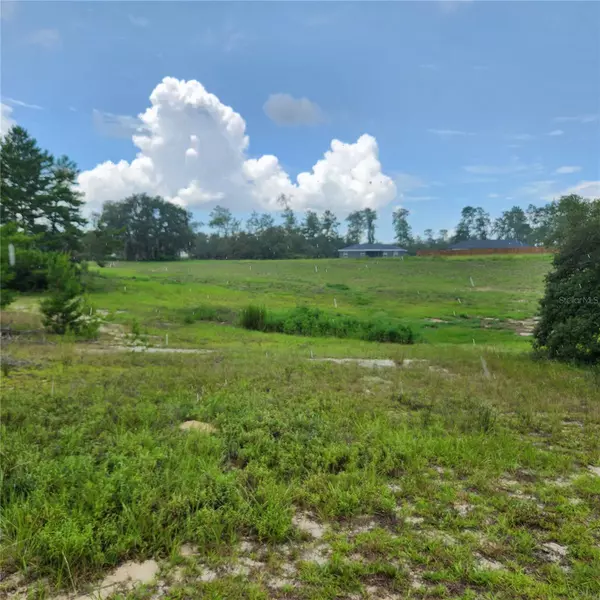 Ocala, FL 34473,TBD SW 48 CIR