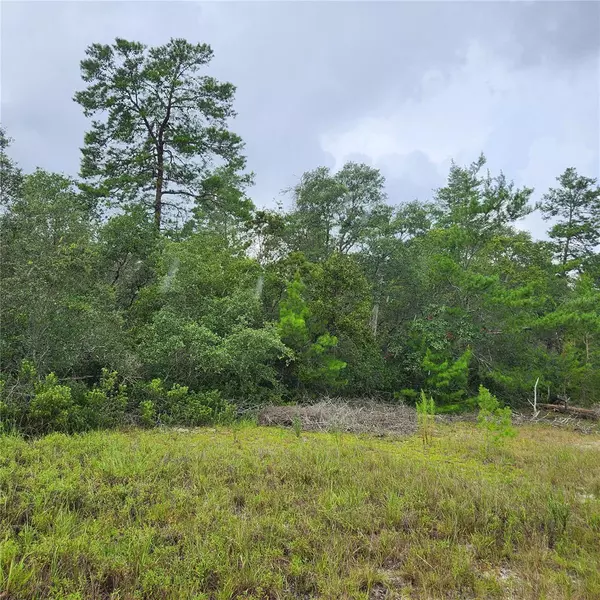 TBD SW 48 CIR, Ocala, FL 34473