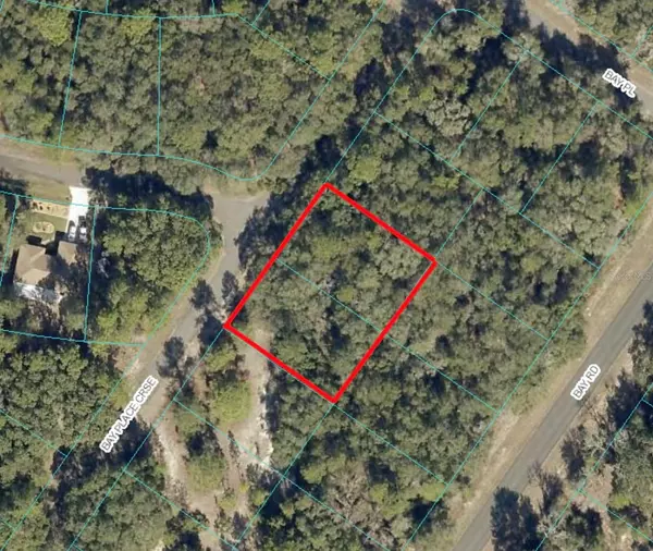 Ocklawaha, FL 32179,00 BAY PLACE CRSE