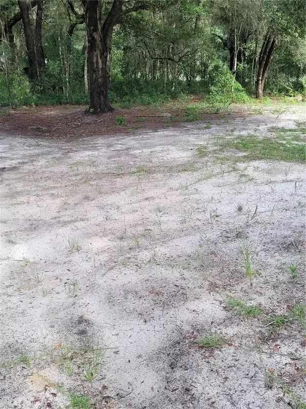 Ocala, FL 34472,LOT 11 LOCUST RADIAL