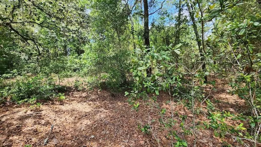 Summerfield, FL 34491,LOT 38 SE 99TH CT