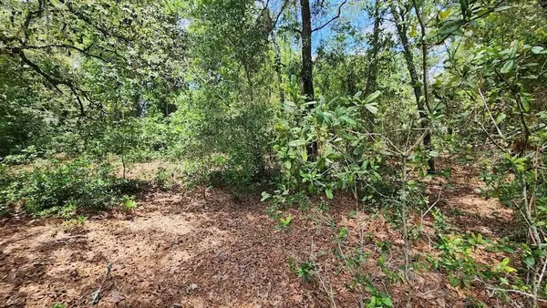 LOT 38 SE 99TH CT, Summerfield, FL 34491